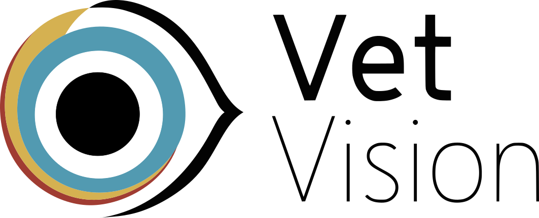 Vet Vision Logo Master Landscape 3