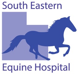 SEEH Logo Vista 2018[57748]